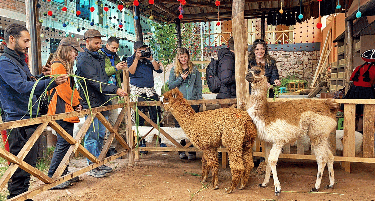 From Cusco: Sacred Valley & Maras Salt Mines Tour with Lunch